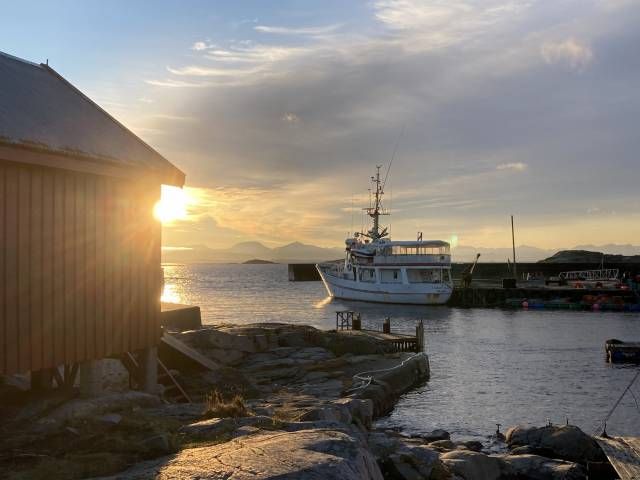 Brygger og båt i solnedgang