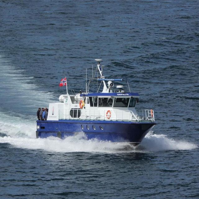 Gripruta på havet